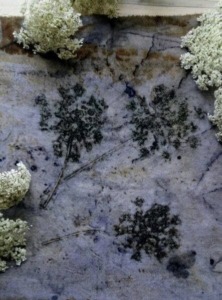 Stampa fiore di carota con solfato ferroso